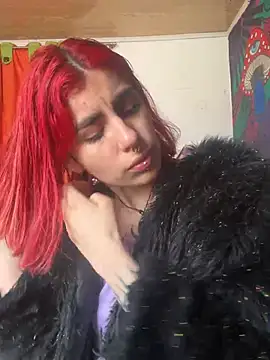  Artemisa X online show from January 27, 2025, 7:24 pm