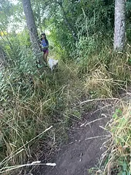 Reinacatchile online show from January 31, 2025, 11:24 pm