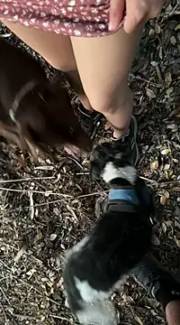 Reinacatchile online show from February 6, 2025, 11:58 pm