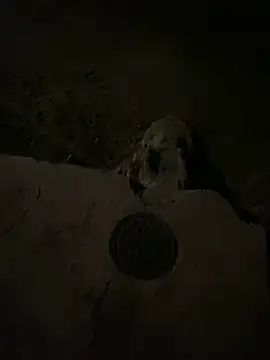 Snapshot of nowex18 chatting on March 6, 2025, 6:52 am nowex18 online show from March 6, 2025, 6:52 am