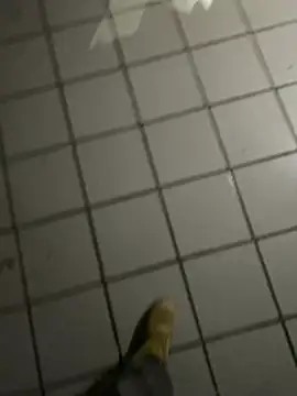 Snapshot of nowex18 chatting on February 20, 2026, 4:53 am nowex18 online show from February 20, 2026, 4:53 am