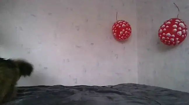 AngelinaLove28 online show from February 5, 2025, 1:33 pm