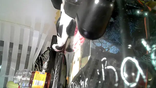 Snapshot of 0815lukas2024 chatting on September 9, 2025, 9:14 pm 0815lukas2024 online show from September 9, 2025, 9:14 pm