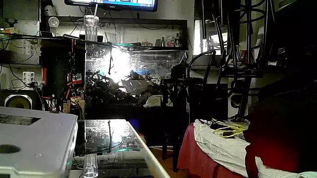 Snapshot of 0815lukas2024 chatting on November 3, 2025, 5:03 pm 0815lukas2024 online show from November 3, 2025, 5:03 pm