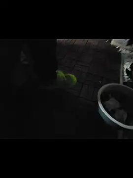 Snapshot of 0815lukas2024 chatting on November 16, 2025, 11:54 pm 0815lukas2024 online show from November 16, 2025, 11:54 pm