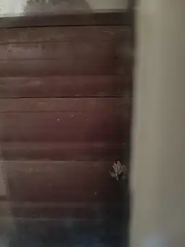 hardgetsex online show from October 4, 2025, 4:05 pm