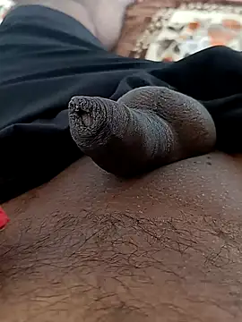 sat 1234 online show from December 16, 2024, 8:52 am