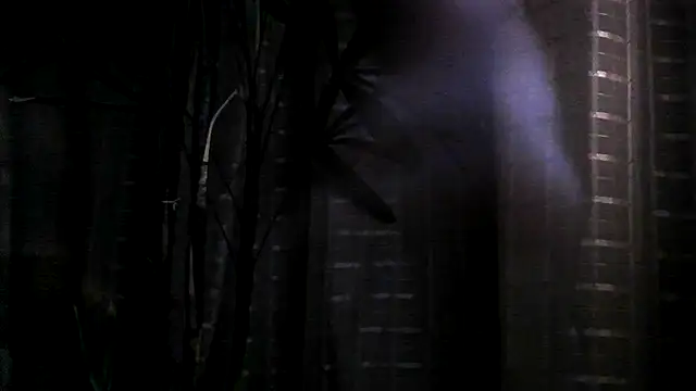 funguybr36 online show from September 19, 2025, 11:00 am