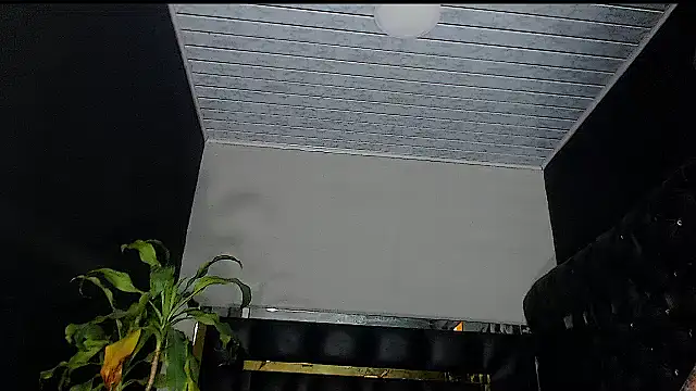 Snapshot of Kitie_Petarda chatting on October 19, 2025, 9:59 pm Kitie Petarda online show from October 19, 2025, 9:59 pm