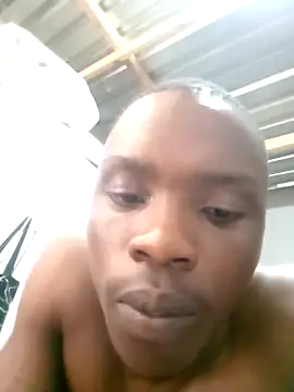 199Gif online show from March 29, 2026, 10:37 am