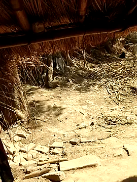 Hot-rubina online show from April 9, 2026, 3:50 am