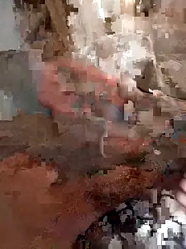 Din0071 online show from December 22, 2025, 3:31 pm