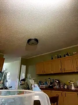 Snapshot of velvetta_ chatting on December 17, 2025, 4:51 am velvetta online show from December 17, 2025, 4:51 am