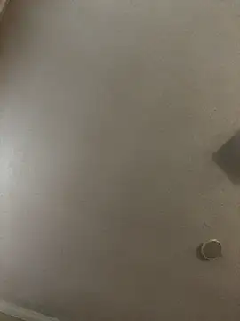 Snapshot of velvetta_ chatting on December 18, 2025, 1:06 pm velvetta online show from December 18, 2025, 1:06 pm