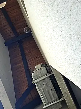 lovewildguy1 online show from March 23, 2025, 6:47 am