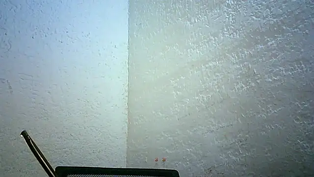 Snapshot of Bellabeltrann chatting on November 30, 2025, 11:42 pm Bellabeltrann online show from November 30, 2025, 11:42 pm