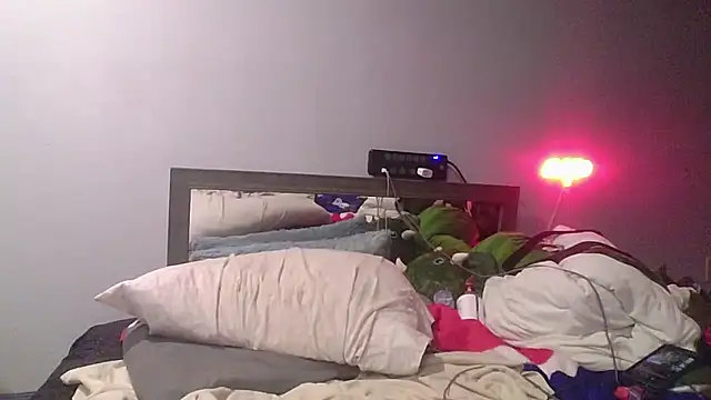 Snapshot of deepinnnnn chatting on January 19, 2026, 4:27 am deepinnnnn online show from January 19, 2026, 4:27 am