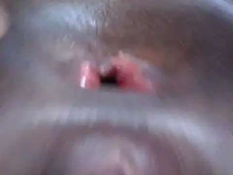 petitev online show from December 18, 2024, 4:09 am