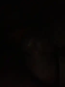 ThickD619 online show from December 11, 2024, 12:23 pm