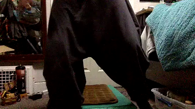 Robriguezxxx online show from December 26, 2024, 7:56 am