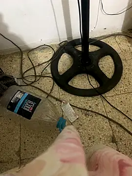 funpharoh1 online show from November 23, 2025, 3:06 am