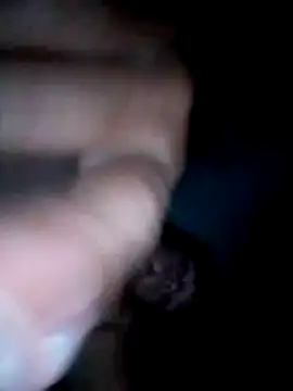 Snapshot of LemonyArcus chatting on April 27, 2026, 4:43 am LemonyArcus online show from April 27, 2026, 4:43 am