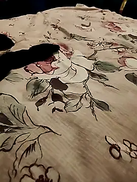 bigboobyrush online show from April 17, 2026, 8:01 pm