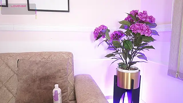 Anybuny online show from December 18, 2025, 12:11 pm