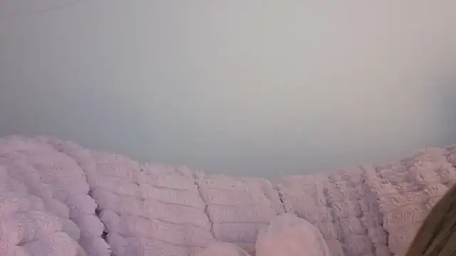 Snapshot of SofiaGc chatting on January 9, 2026, 3:42 am SofiaGc online show from January 9, 2026, 3:42 am