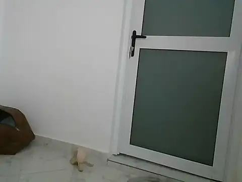 Snapshot of lugari chatting on December 21, 2024, 10:19 pm lugari online show from December 21, 2024, 10:19 pm