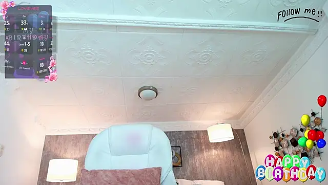 Snapshot of aria_li chatting on February 19, 2025, 3:16 pm aria li online show from February 19, 2025, 3:16 pm