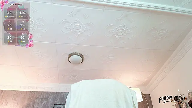 Snapshot of aria_li chatting on March 17, 2025, 12:04 pm aria li online show from March 17, 2025, 12:04 pm