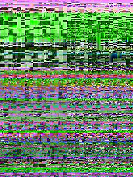 Rose berry online show from March 16, 2026, 6:39 am