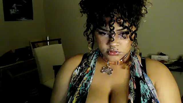 ozzieboz online show from April 12, 2026, 1:43 am