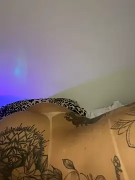 Snapshot of TigrezaSC chatting on February 6, 2025, 7:56 am TigrezaSC online show from February 6, 2025, 7:56 am