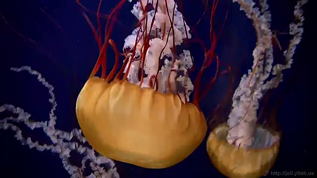 Snapshot of streamy_test12 chatting on May 22, 2026, 8:32 am streamy test12 online show from May 22, 2026, 8:32 am