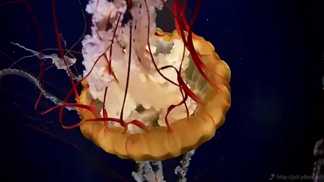 Snapshot of streamy_test13 chatting on March 14, 2025, 8:10 am streamy test13 online show from March 14, 2025, 8:10 am