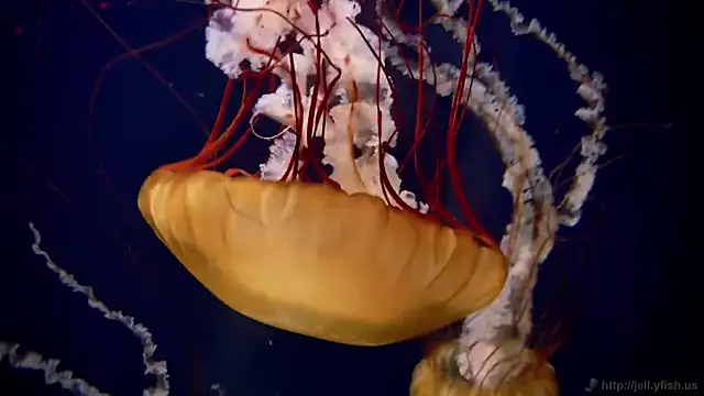 Snapshot of streamy_test13 chatting on September 22, 2025, 5:59 pm streamy test13 online show from September 22, 2025, 5:59 pm