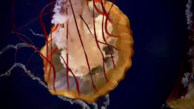 Snapshot of streamy_test13 chatting on October 2, 2025, 10:22 am streamy test13 online show from October 2, 2025, 10:22 am