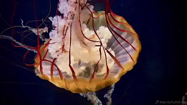 Snapshot of streamy_test13 chatting on October 7, 2025, 10:56 am streamy test13 online show from October 7, 2025, 10:56 am