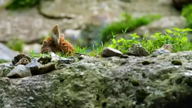 Snapshot of streamy_test13 chatting on March 18, 2026, 4:32 pm streamy test13 online show from March 18, 2026, 4:32 pm