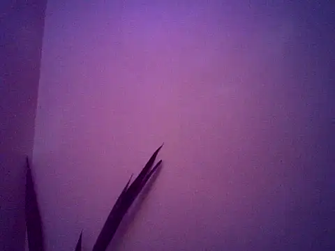 Snapshot of Malandralle chatting on November 25, 2025, 5:29 am Malandralle online show from November 25, 2025, 5:29 am