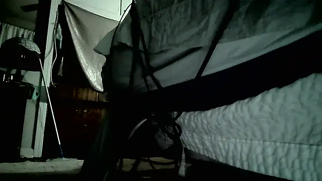 paiday online show from December 26, 2024, 4:04 pm