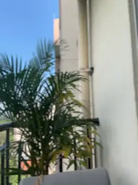 Snapshot of Pretty_Isadora chatting on February 4, 2026, 8:03 pm Pretty Isadora online show from February 4, 2026, 8:03 pm