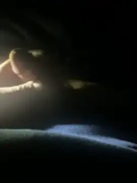 joeycbigcock online show from April 22, 2026, 2:25 am