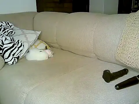 ebony spicy69 online show from October 3, 2025, 12:13 pm