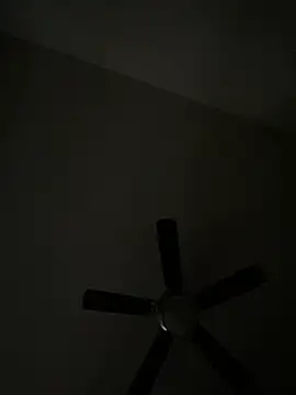 Snapshot of goldbuni chatting on December 8, 2024, 1:36 pm goldbuni online show from December 8, 2024, 1:36 pm