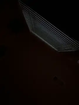 Snapshot of goldbuni chatting on November 29, 2025, 12:52 pm goldbuni online show from November 29, 2025, 12:52 pm