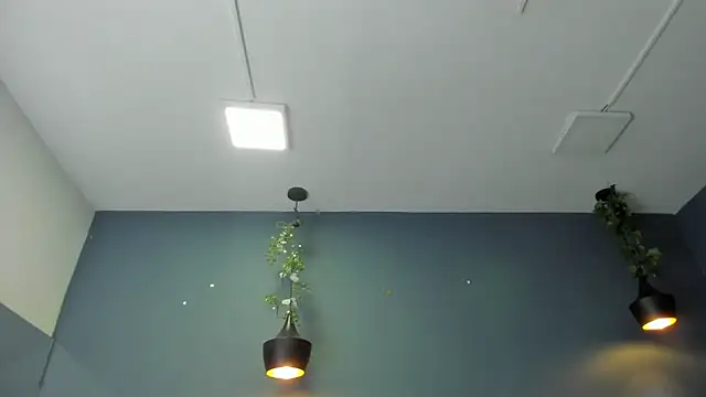 Hannah Miller   online show from January 10, 2025, 5:34 pm