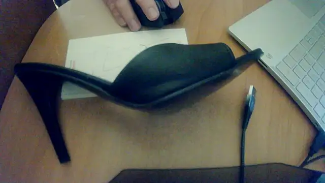 styrialive online show from February 17, 2025, 7:21 pm